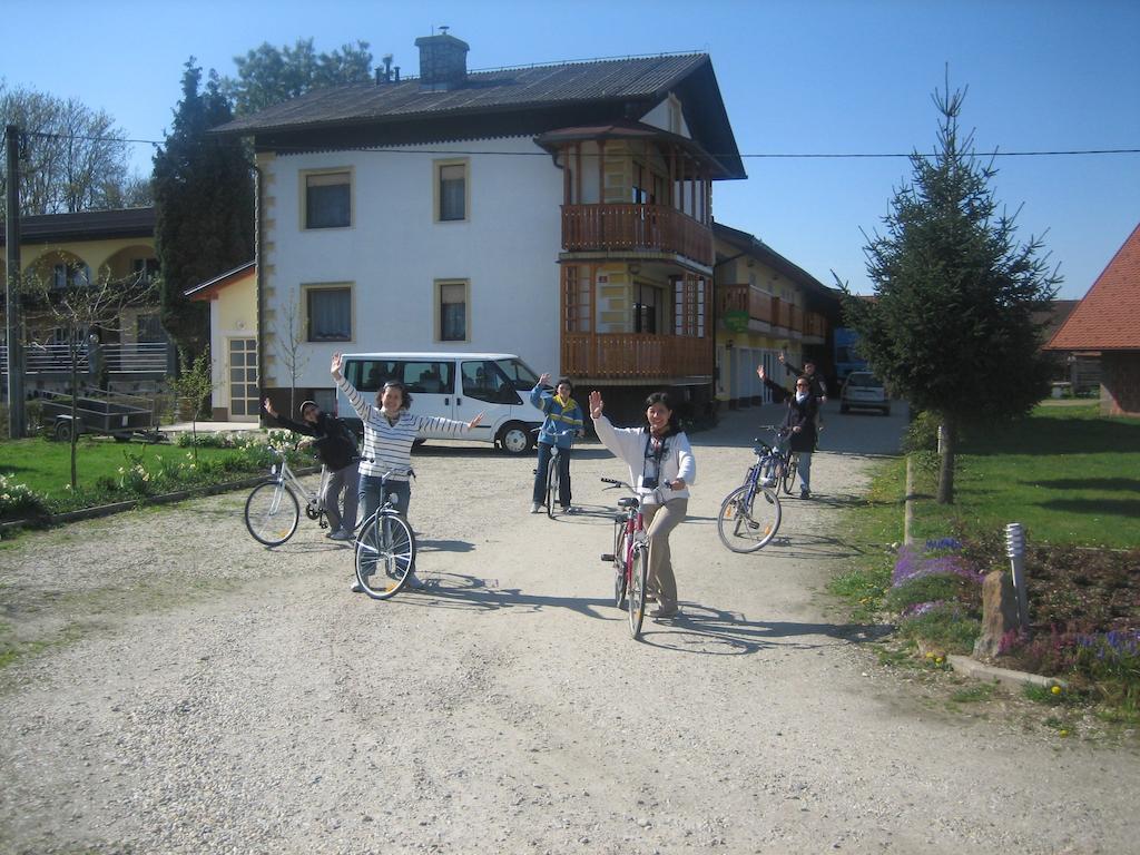 Vila Tourist Farm Salamun Banovci Exteriér fotografie